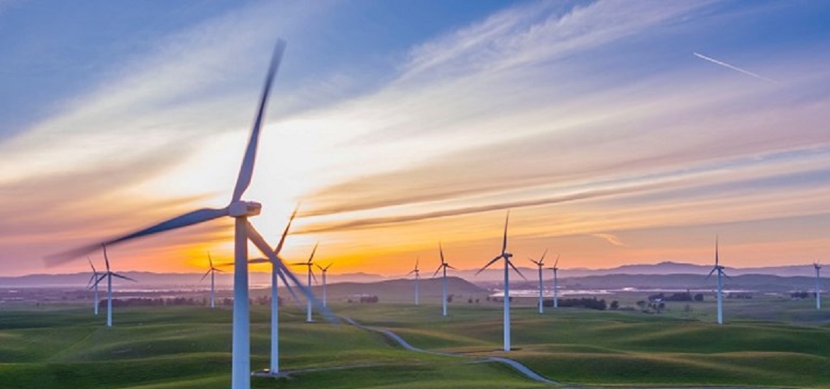 Wind leads 2022 renewables surge in Germany