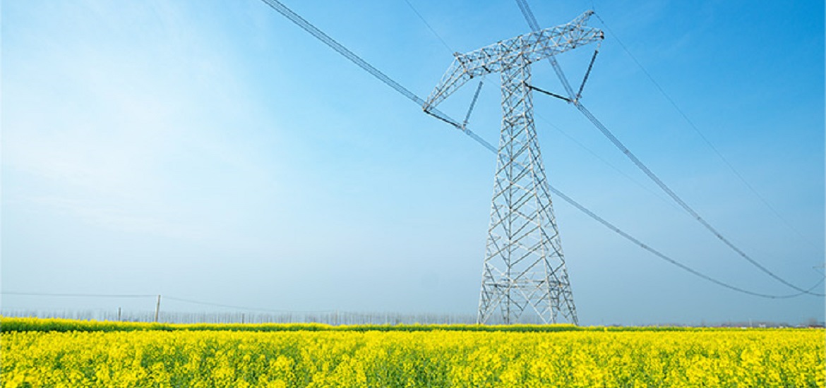 Cargill introduces new rapeseed dielectric fluid for  more reliable and sustainable transformers