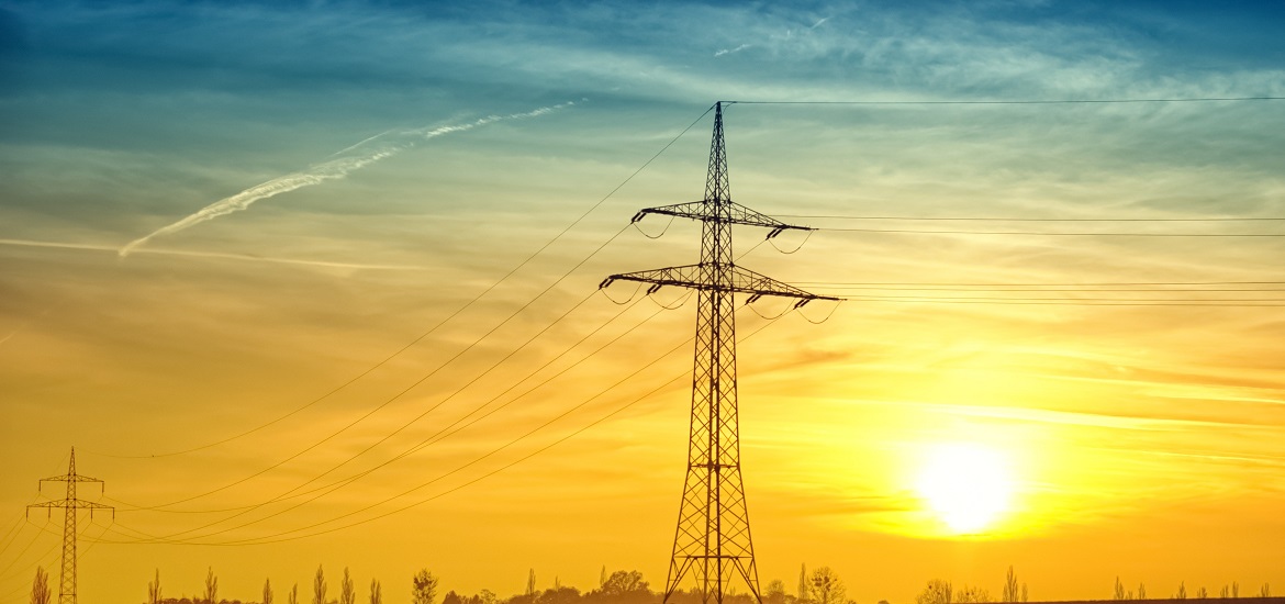 Ukrainian power grid operator holds auctions for electricity export to Europe