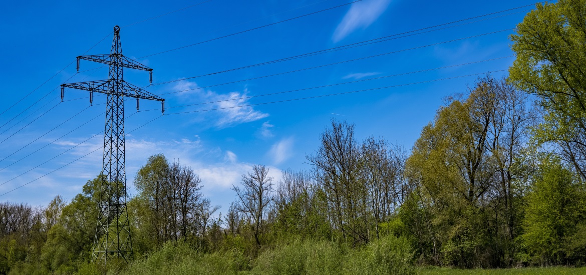 Rural Utility Group Pushes for Permitting Reform to Meet Electrification Demand
