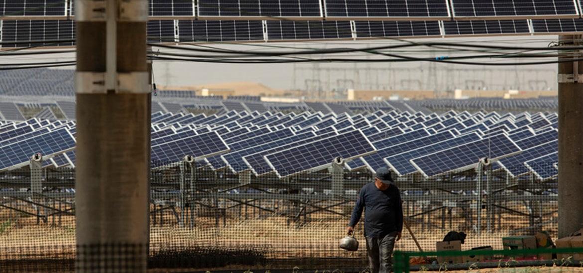 a farmer, watering his tomatoes under the solar panels in the Kubuqi Desert. 