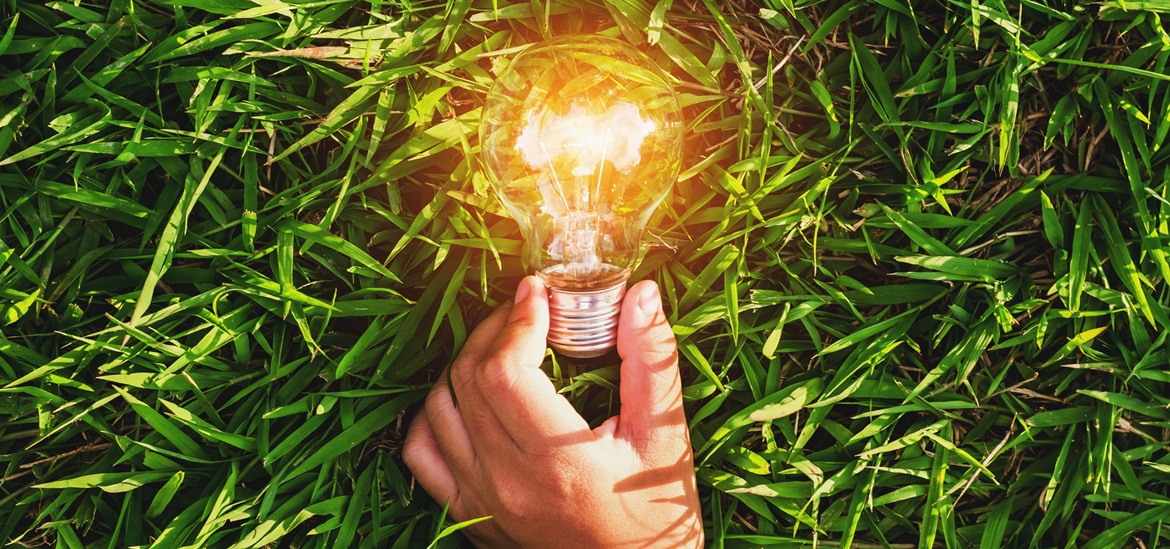 A hand holding a light bulb against green grass surface 