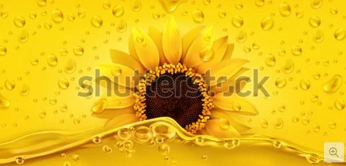 Sunflower oil 500