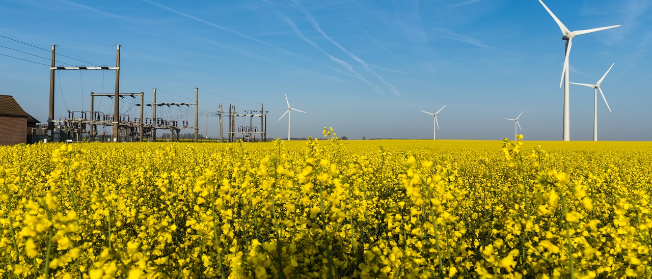 Wind turbine generators and electrical substation in the yellow rapeseed field under the blue sky